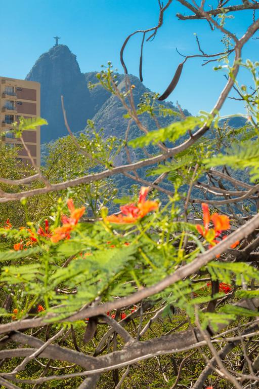 Rio Nature Hostel Rio de Janeiro Pokoj fotografie